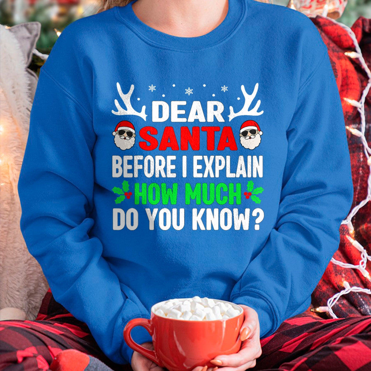 Funny Christmas Kids Adults Dear Santa I Can Explain T-Shirt - Christmas Unisex T-Shirt/Hoodie/Sweatshirt - HNDS00