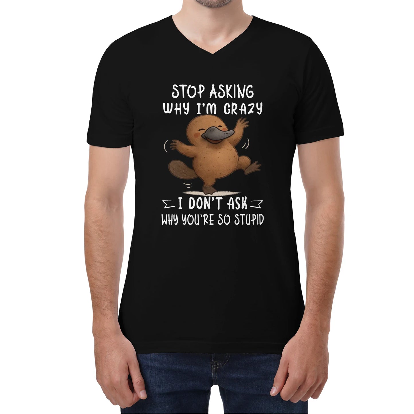 WHY I'M CRAZY I DON'T ASK WHY YOU'RE SO STUPID - BIRTHDAY GIFT FOR MEN/WOMEN - NTTD00