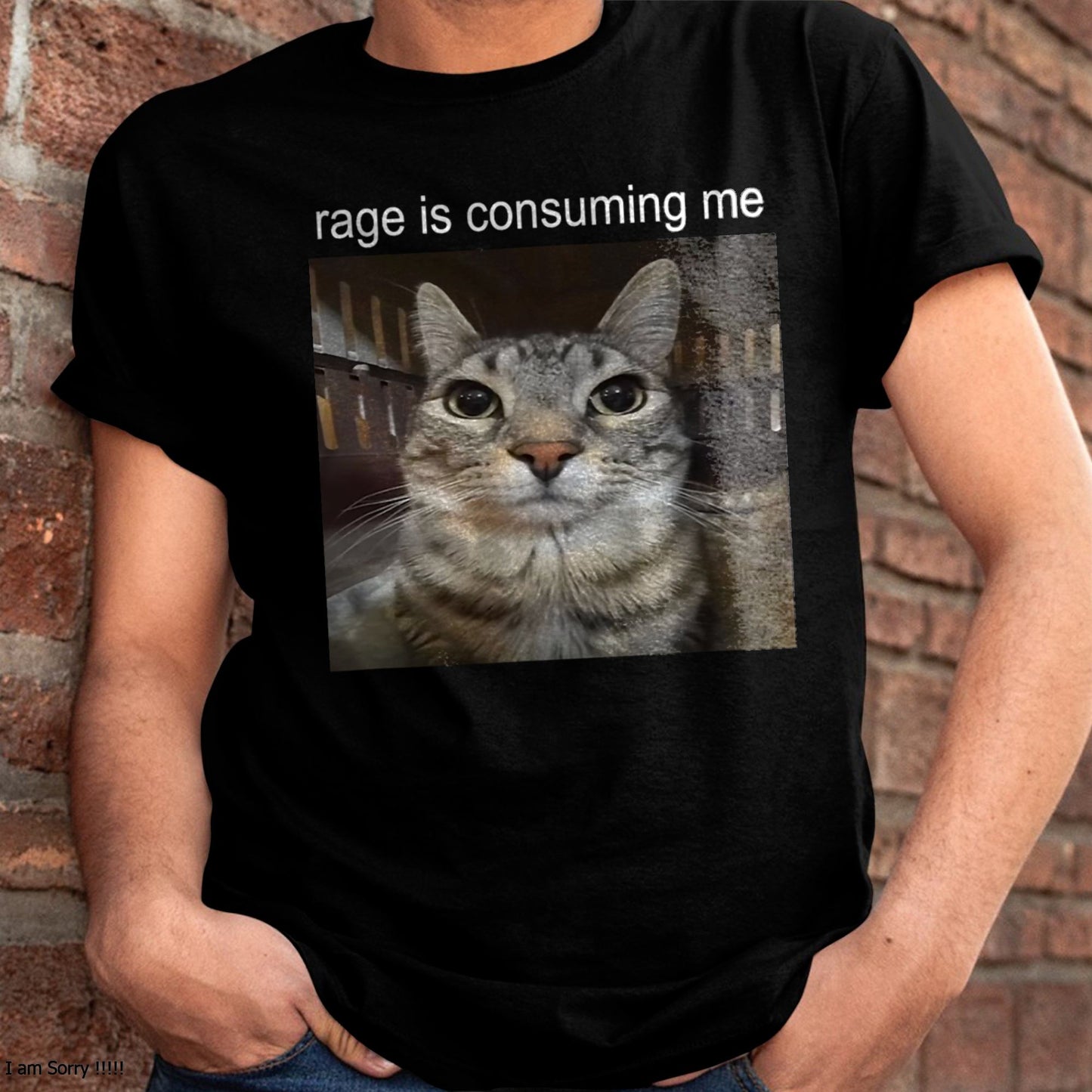 RAGE IS CONSUMING ME SILLY STARING CAT MEME T-SHIRT - BIRTHDAY T-SHIRT FOR MEN - NTTD00 (SKU-MEME3)