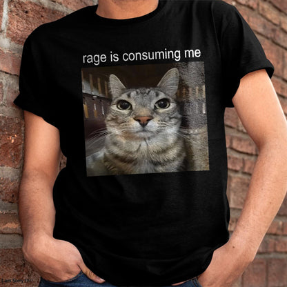 RAGE IS CONSUMING ME SILLY STARING CAT MEME T-SHIRT - BIRTHDAY T-SHIRT FOR MEN - NTTD00 (SKU-MEME3)