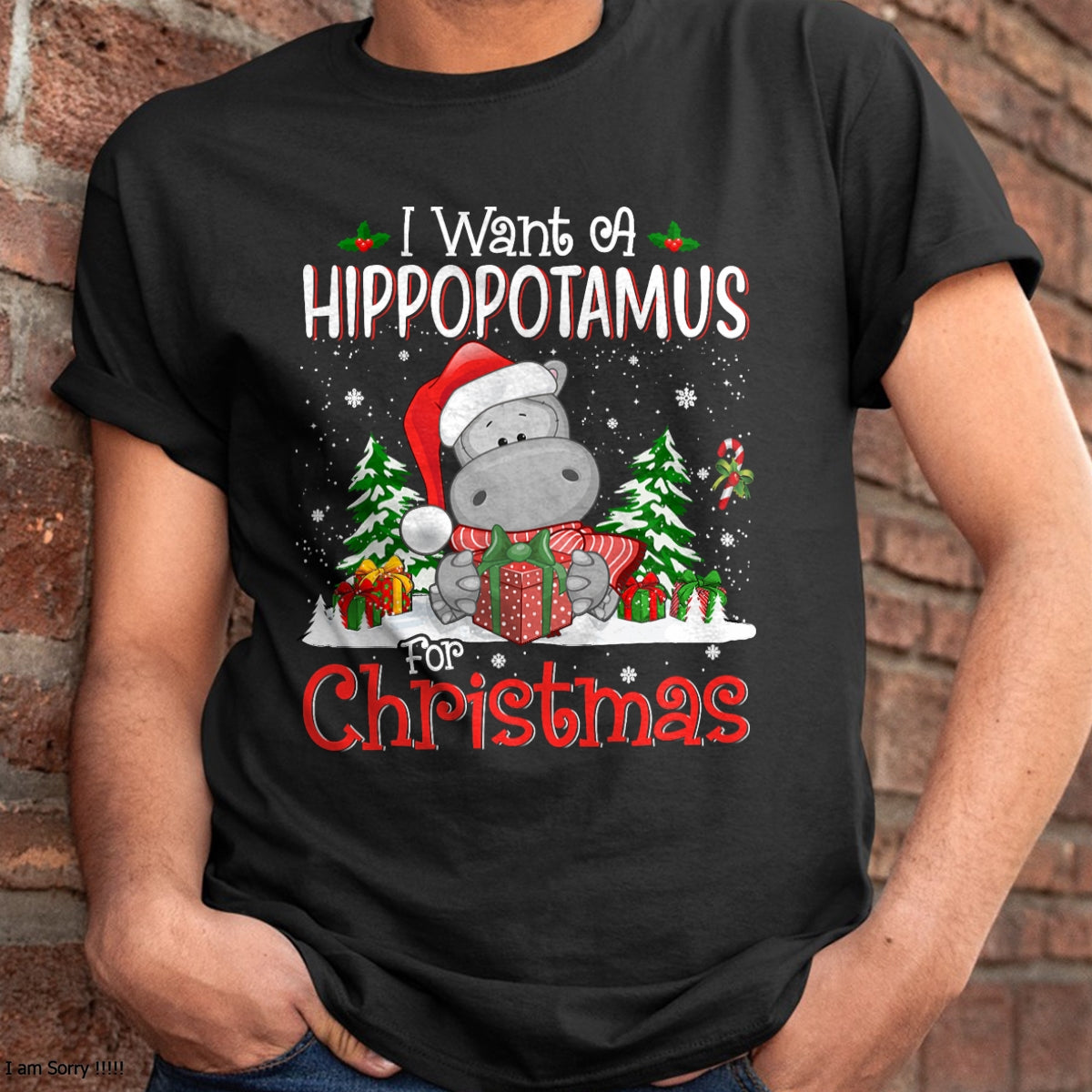 I Want A Hippopotamus For Christmas Xmas Hippo for Kid Women T-Shirt - Christmas Unisex T-Shirt/Hoodie/Sweatshirt - HNDS00