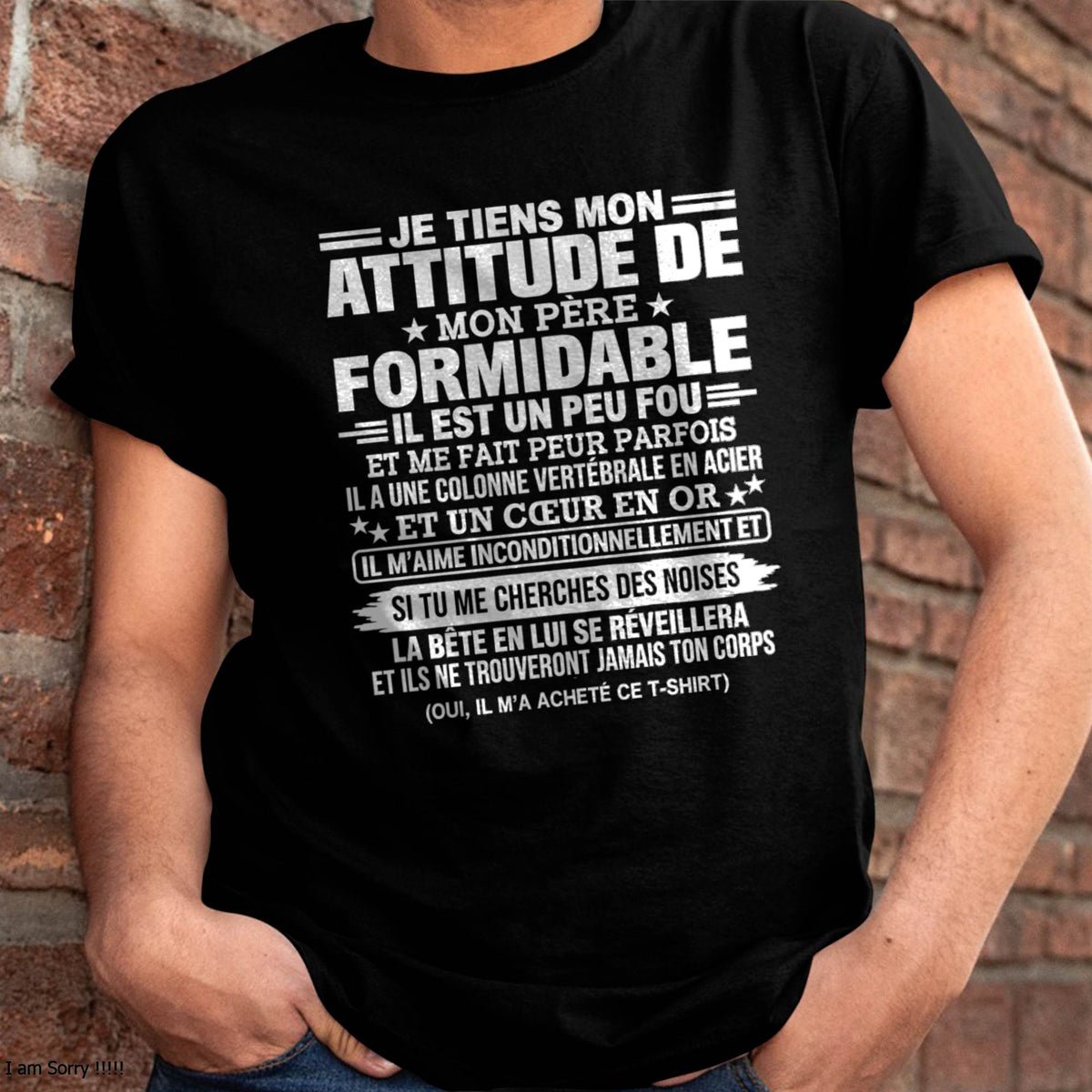JE TIENS MON ATTITUDE DE MON PÈRE FORMIDABLE – Cadeau de Papa - NTTD00 (SKU2610-82)