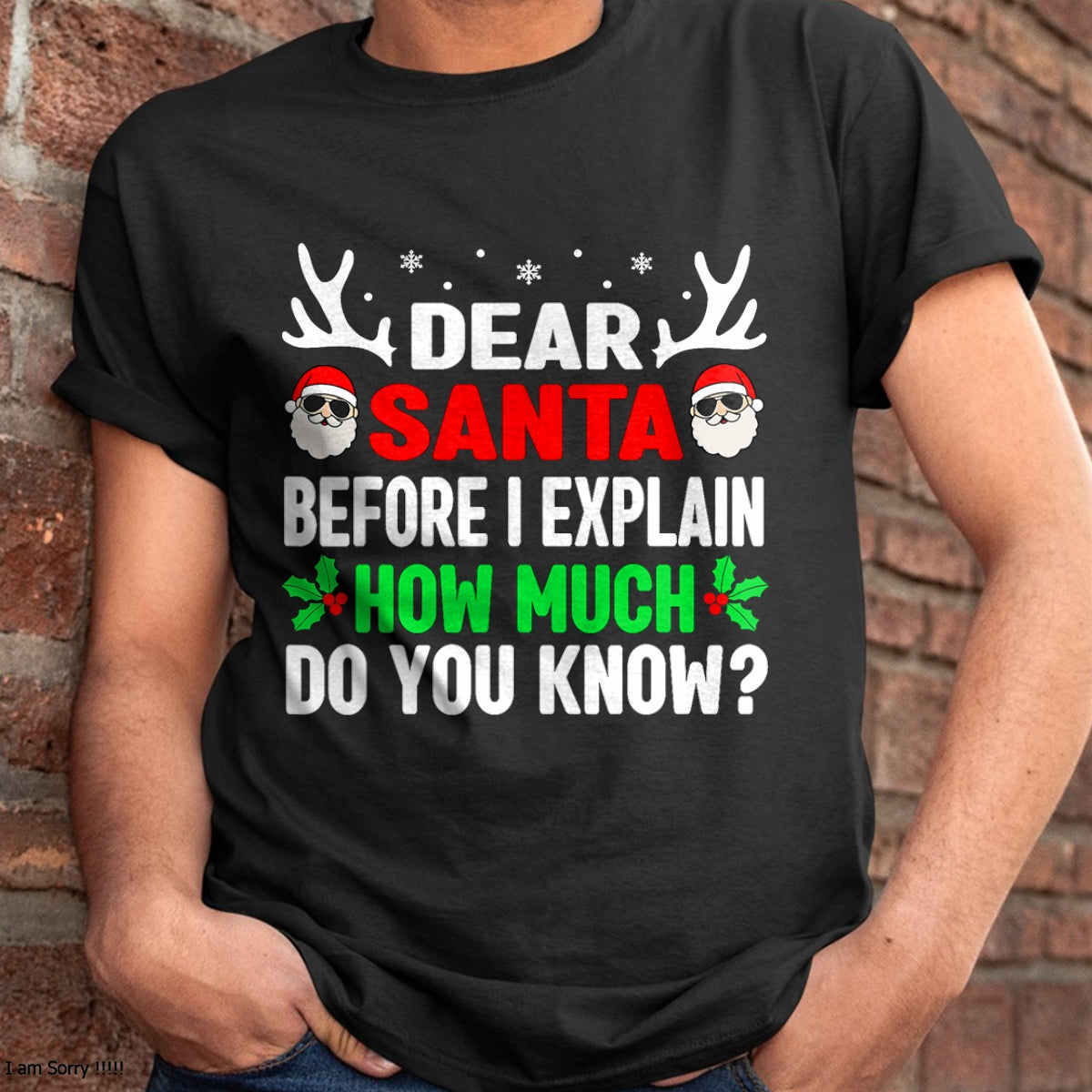 Funny Christmas Kids Adults Dear Santa I Can Explain T-Shirt - Christmas Unisex T-Shirt/Hoodie/Sweatshirt - HNDS00