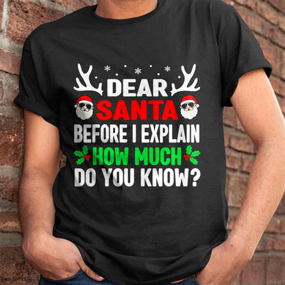 Funny Christmas Kids Adults Dear Santa I Can Explain T-Shirt - Christmas Unisex T-Shirt/Hoodie/Sweatshirt - HNDS00