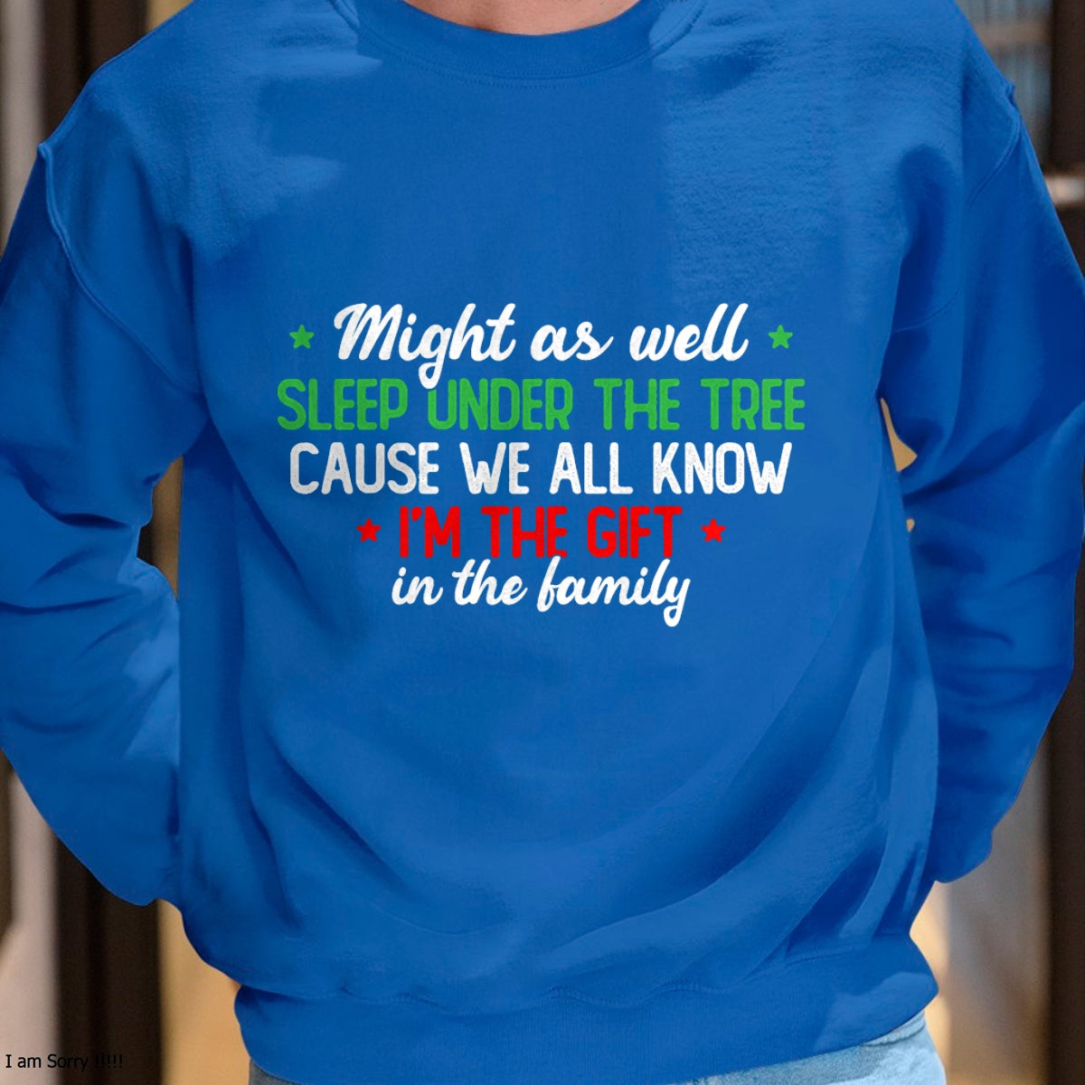 Christmas Humor Men Women Favorite Person Funny Christmas T-Shirt - Christmas Unisex T-Shirt/Hoodie/Sweatshirt - HNDS00