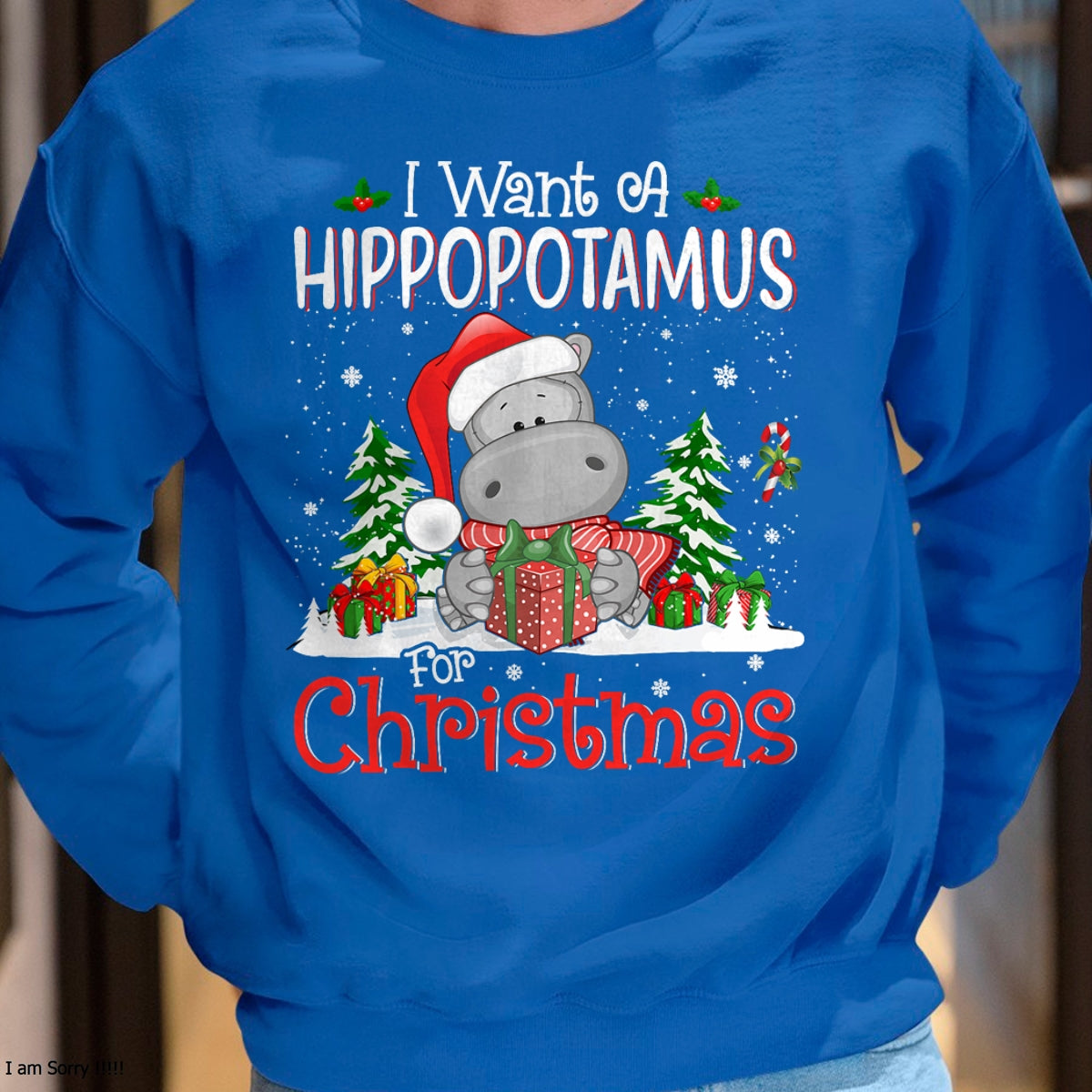 I Want A Hippopotamus For Christmas Xmas Hippo for Kid Women T-Shirt - Christmas Unisex T-Shirt/Hoodie/Sweatshirt - HNDS00
