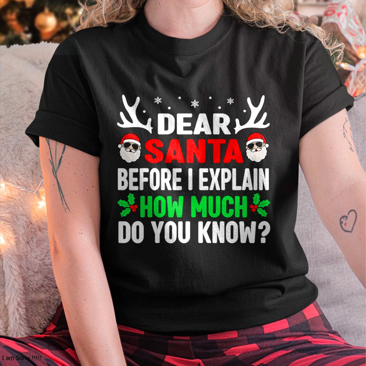Funny Christmas Kids Adults Dear Santa I Can Explain T-Shirt - Christmas Unisex T-Shirt/Hoodie/Sweatshirt - HNDS00
