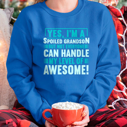 Best Grandma Shirt, Proud Grandma Unisex T-Shirt/Hoodie/Sweatshirt HLT00 - Grandma Spoiled Grandson Grandparents T-Shirt