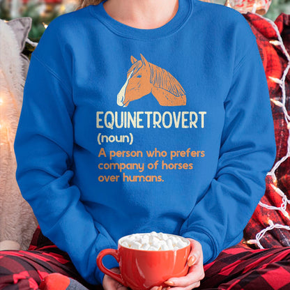 Best Horse Lover Shirt , Funny Horse UnisexT-Shirt/Hoodie/Sweatshirt HLT00 - Funny Horse Lover Humor Definition Saying  Fun Equestrian T-Shirt