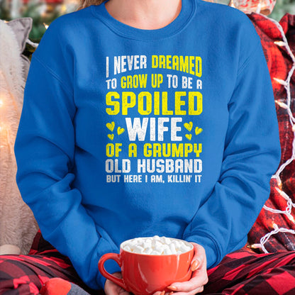 Best Wife Shirt, Wife and Husband Unisex T-Shirt/Hoodie/Sweatshirt HLT00 - Gift for wife T shirt, spoiled wife   Spoiled Wife Grumpy Old Spoiled Wife Of A Grumpy Old Husband T