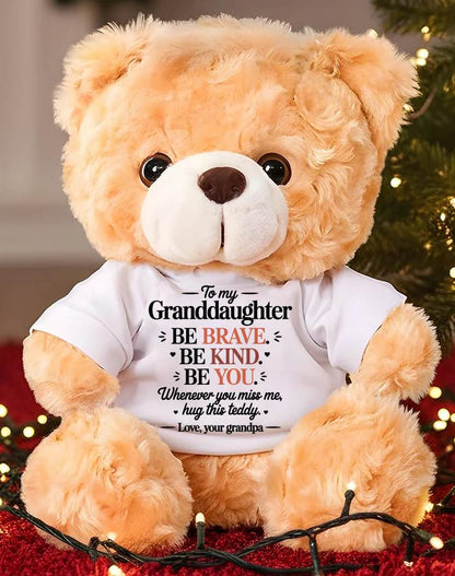 TO MY GRANDDAUGHTER - TEDDY BEAR, A BIG HUG FROM GRANDPA - NTTD00