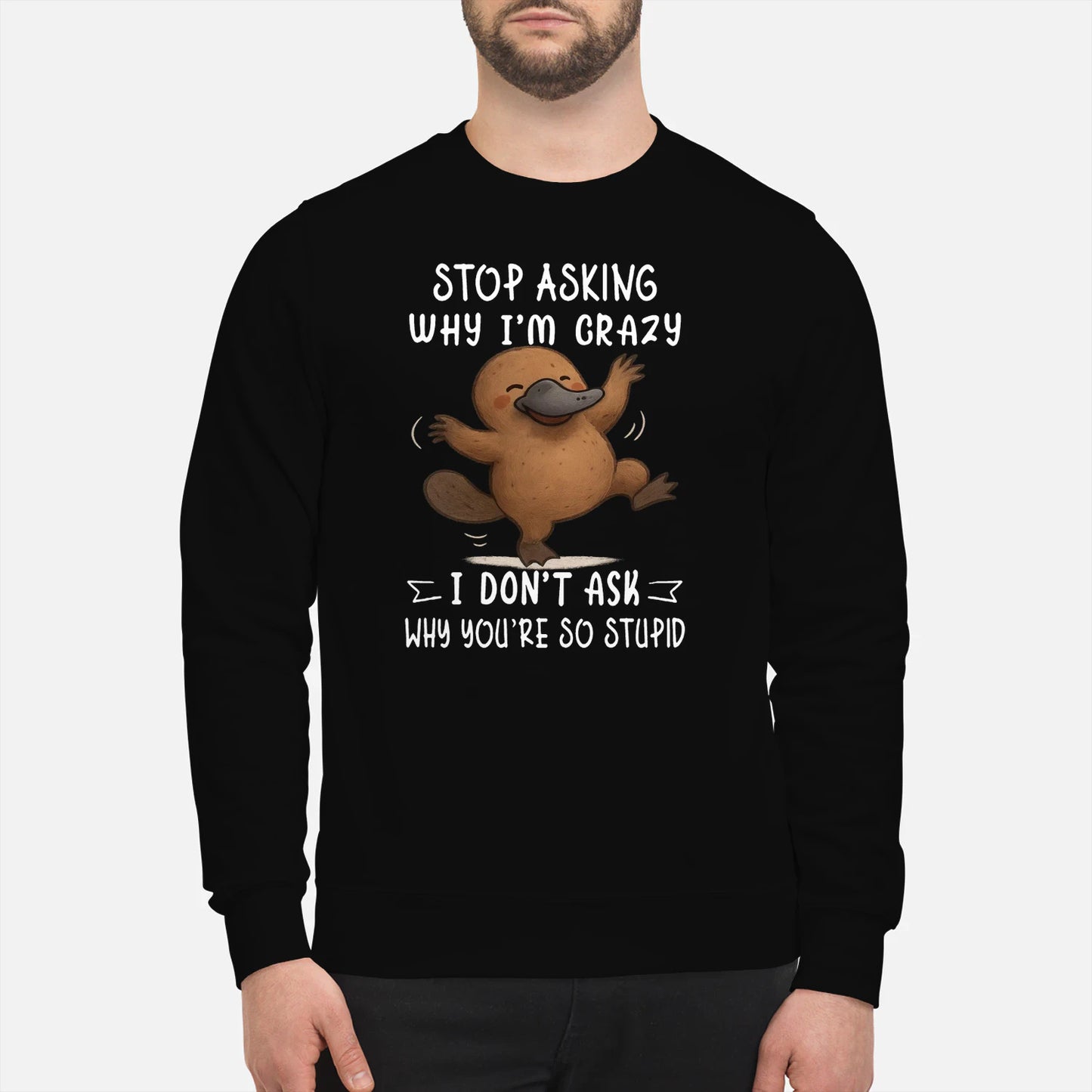 WHY I'M CRAZY I DON'T ASK WHY YOU'RE SO STUPID - BIRTHDAY GIFT FOR MEN/WOMEN - NTTD00