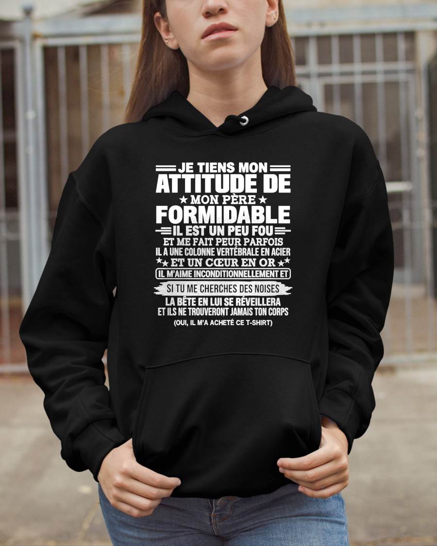 JE TIENS MON ATTITUDE DE MON PÈRE FORMIDABLE – Cadeau de Papa - NTTD00 (SKU2610-82)