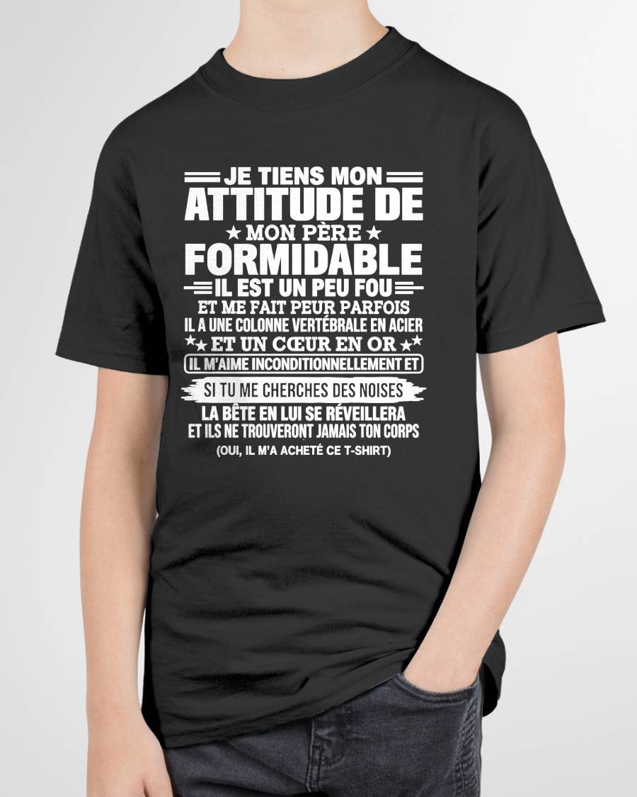 JE TIENS MON ATTITUDE DE MON PÈRE FORMIDABLE – Cadeau de Papa - NTTD00 (SKU2610-82)