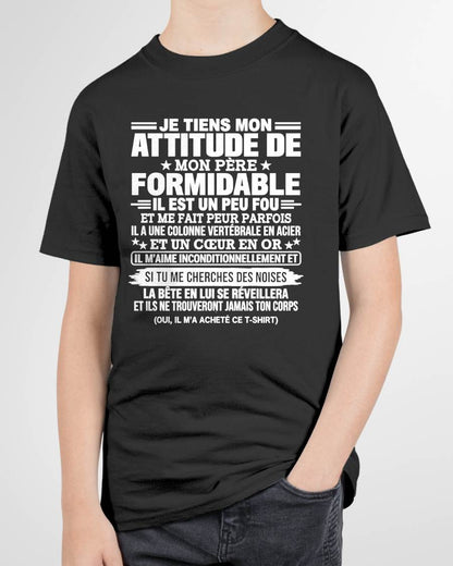 JE TIENS MON ATTITUDE DE MON PÈRE FORMIDABLE – Cadeau de Papa - NTTD00 (SKU2610-82)
