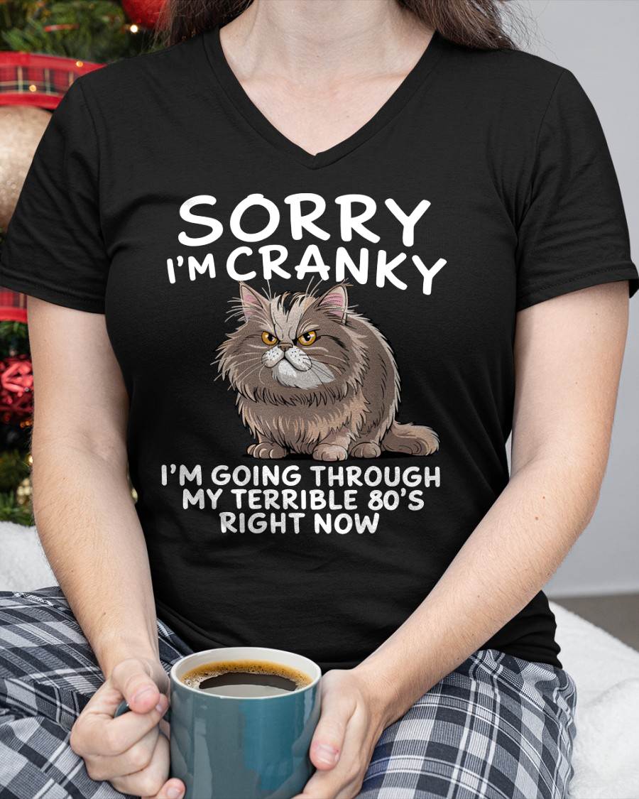 SORRY I AM CRANKY, 80'S - BIRTHDAY SHIRT FOR WOMEN - NTTD00 (SKU12-254)