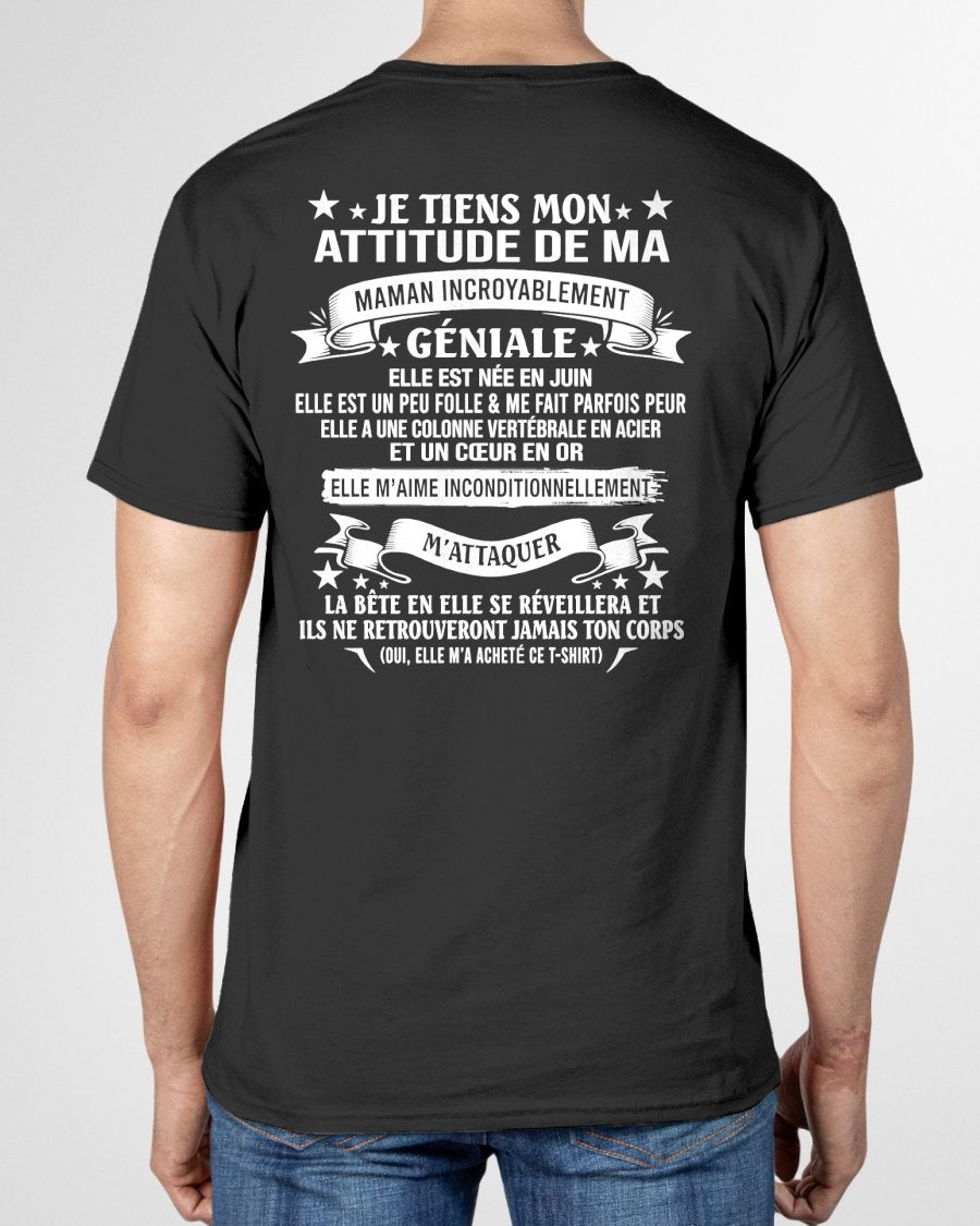 JUIN - JE TIENS MON ATTITUDE DE MA MAMAN INCROYABLEMENT GÉNIALE - CADEAU DE MAMAN - frNTTD06 (SKU2603-222-06)