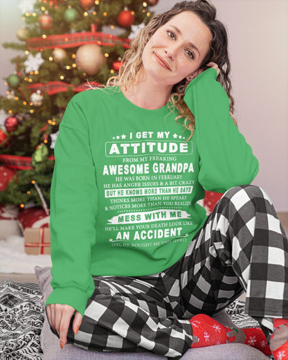 Attitude from Grandpa February Edition – Funny Family T-Shirt – From Grandpa to Granddaughter NTTD02 (SKU07-171-02)