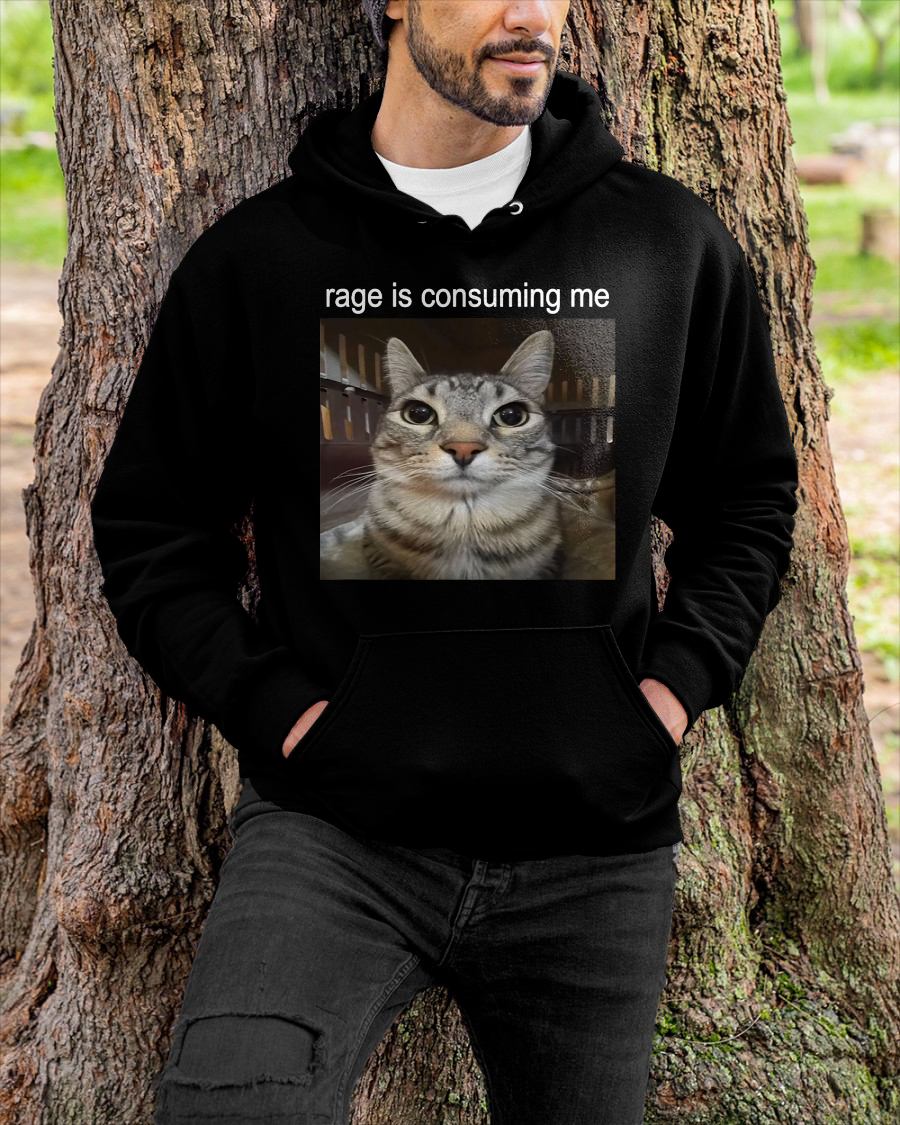 RAGE IS CONSUMING ME SILLY STARING CAT MEME T-SHIRT - BIRTHDAY T-SHIRT FOR MEN - NTTD00 (SKU-MEME3)