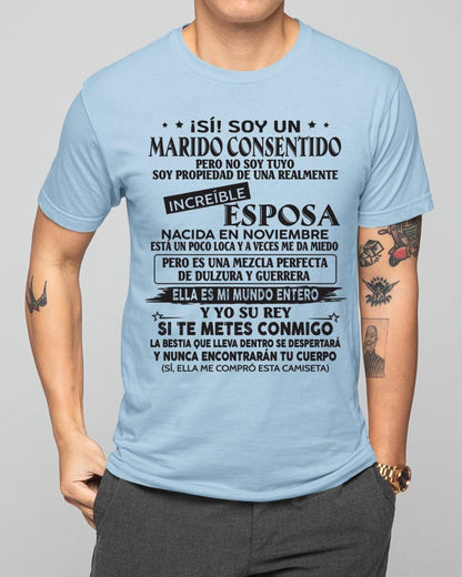 Noviembre - Esposa increíble nació en noviembre - Regalo especial para Marido - T11 (SKU05-105-11)