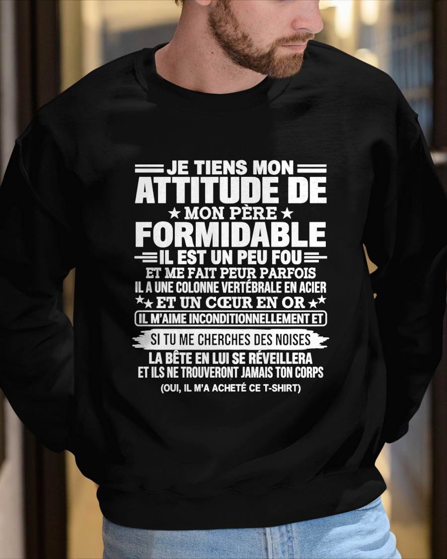 JE TIENS MON ATTITUDE DE MON PÈRE FORMIDABLE – Cadeau de Papa - NTTD00 (SKU2610-82)