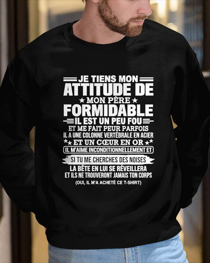 JE TIENS MON ATTITUDE DE MON PÈRE FORMIDABLE – Cadeau de Papa - NTTD00 (SKU2610-82)