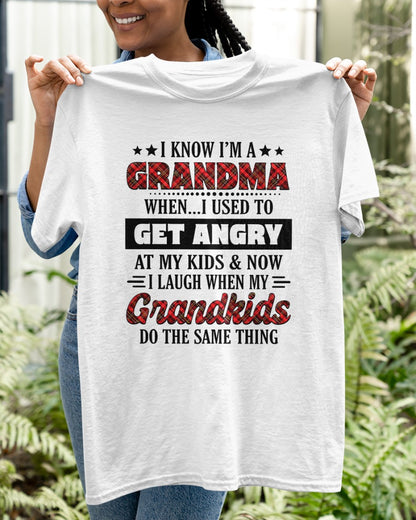 KNOW I'M A GRANDMA WHEN... I USED TO GET ANGRY AT MY KIDS & NOW I LAUGH WHEN MY GRANDKIDS DO THE SAME THING - from grandma NTTD00 (SKU07-111)