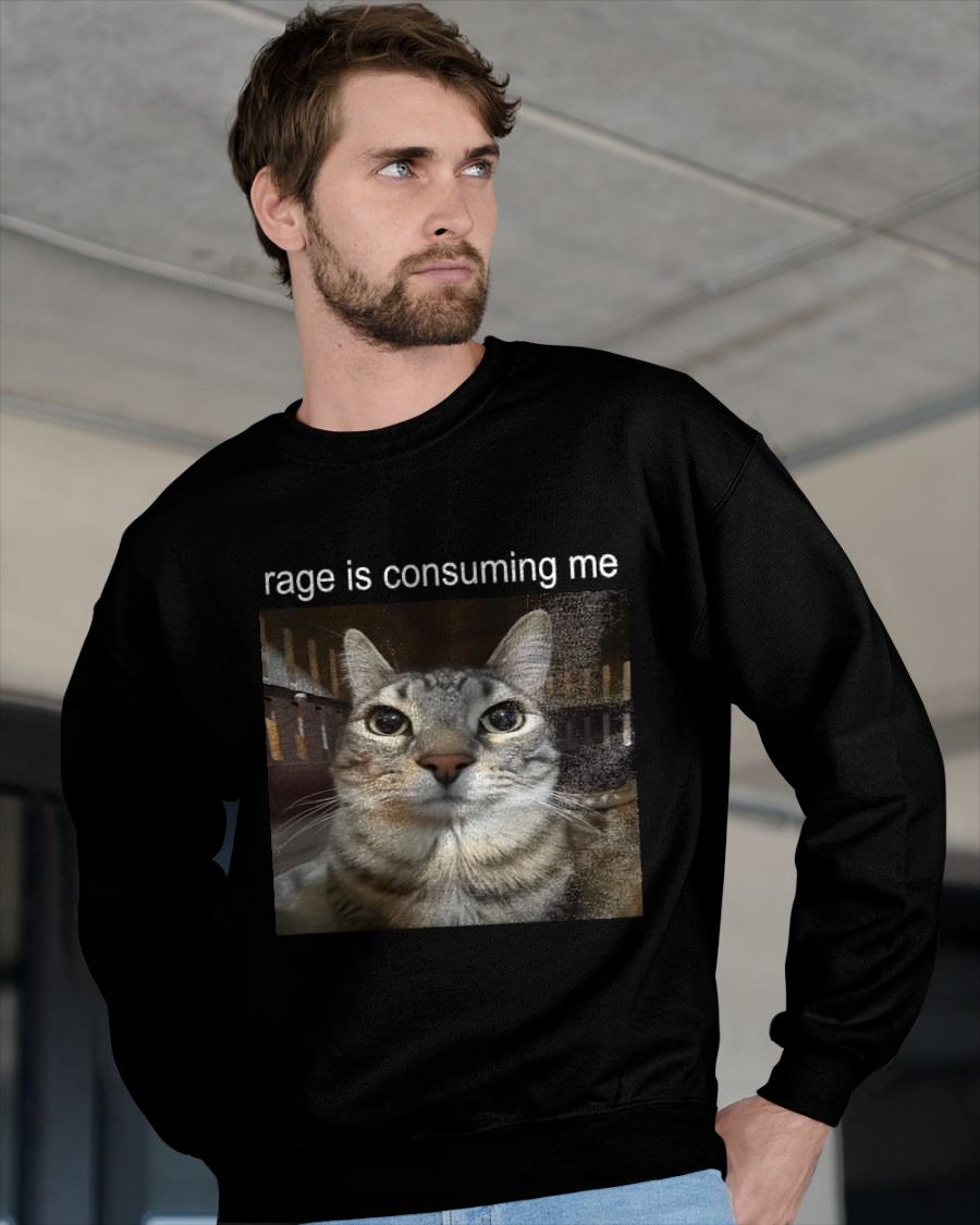 RAGE IS CONSUMING ME SILLY STARING CAT MEME T-SHIRT - BIRTHDAY T-SHIRT FOR MEN - NTTD00 (SKU-MEME3)