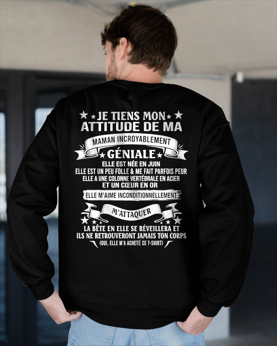 JUIN - JE TIENS MON ATTITUDE DE MA MAMAN INCROYABLEMENT GÉNIALE - CADEAU DE MAMAN - frNTTD06 (SKU2603-222-06)