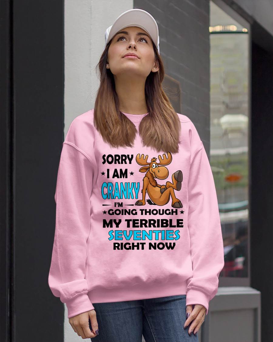 SORRY I AM CRANKY - BIRTHDAY SHIRT FOR WOMEN - NTTD00 (SKU12-249)
