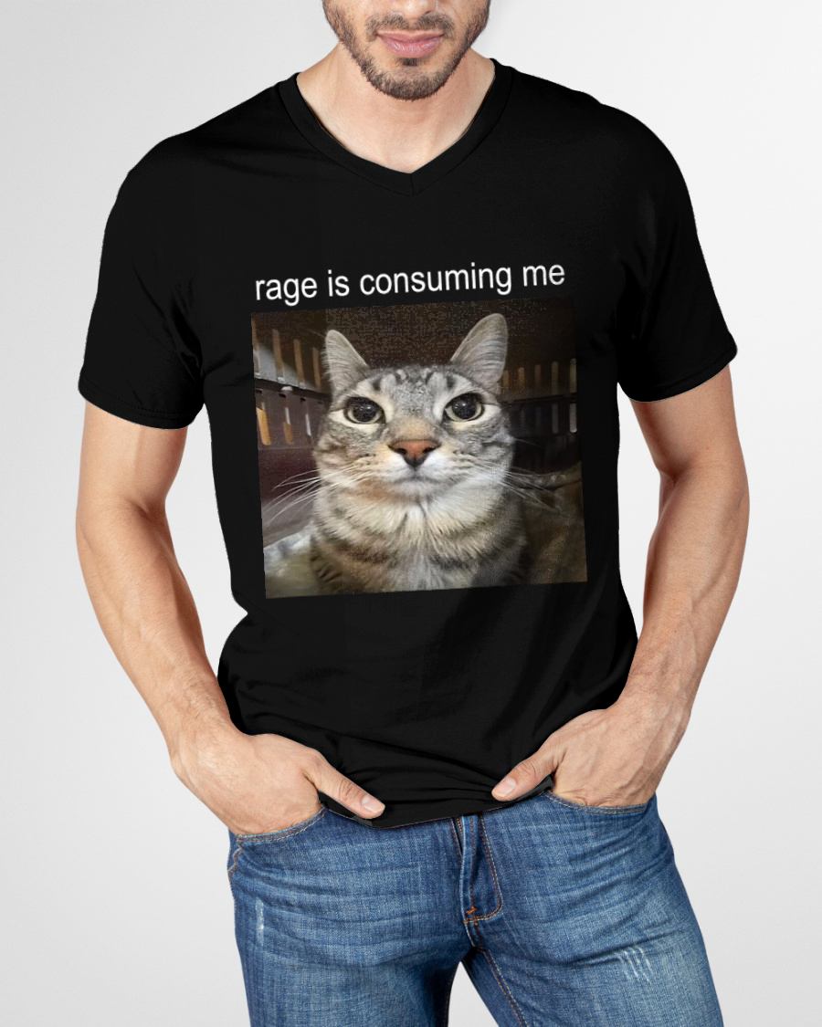 RAGE IS CONSUMING ME SILLY STARING CAT MEME T-SHIRT - BIRTHDAY T-SHIRT FOR MEN - NTTD00 (SKU-MEME3)