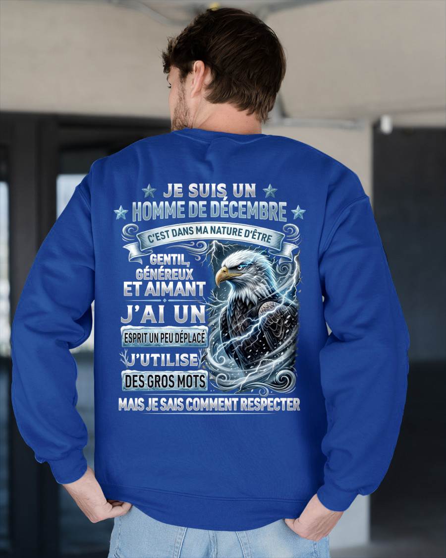DÉCEMBRE – ESPRIT MALICIEUX MAIS SAIT RESPECTER - T-SHIRT ANNIVERSAIRE HOMME - IMPRESSION DTG PREMIUM - frNTTD12 (SKU2604-86-12)